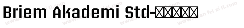 Briem Akademi Std字体转换